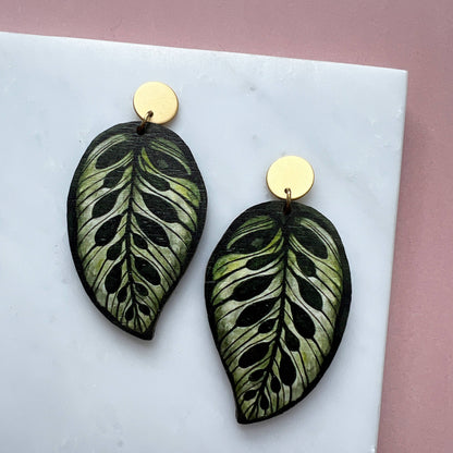 CALATHEA MAKOYANA OHRRINGE GREEN | GOLD