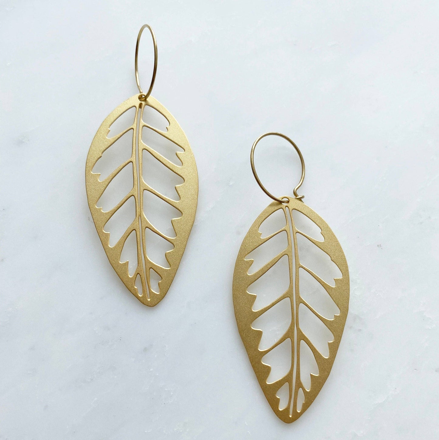 CALATHEA ZEBRINA CREOLEN | GOLD
