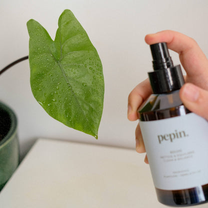 REINIGUNGSSPRAY BRUME | NATÜRLICHE BLATTREINIGUNG