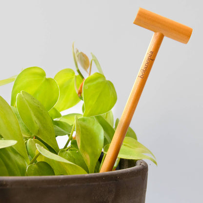 SOIL TESTER | Soil moisture control