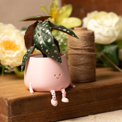 HAPPY POT PEACH PINK | Flowerpot with feet from the 3D printer