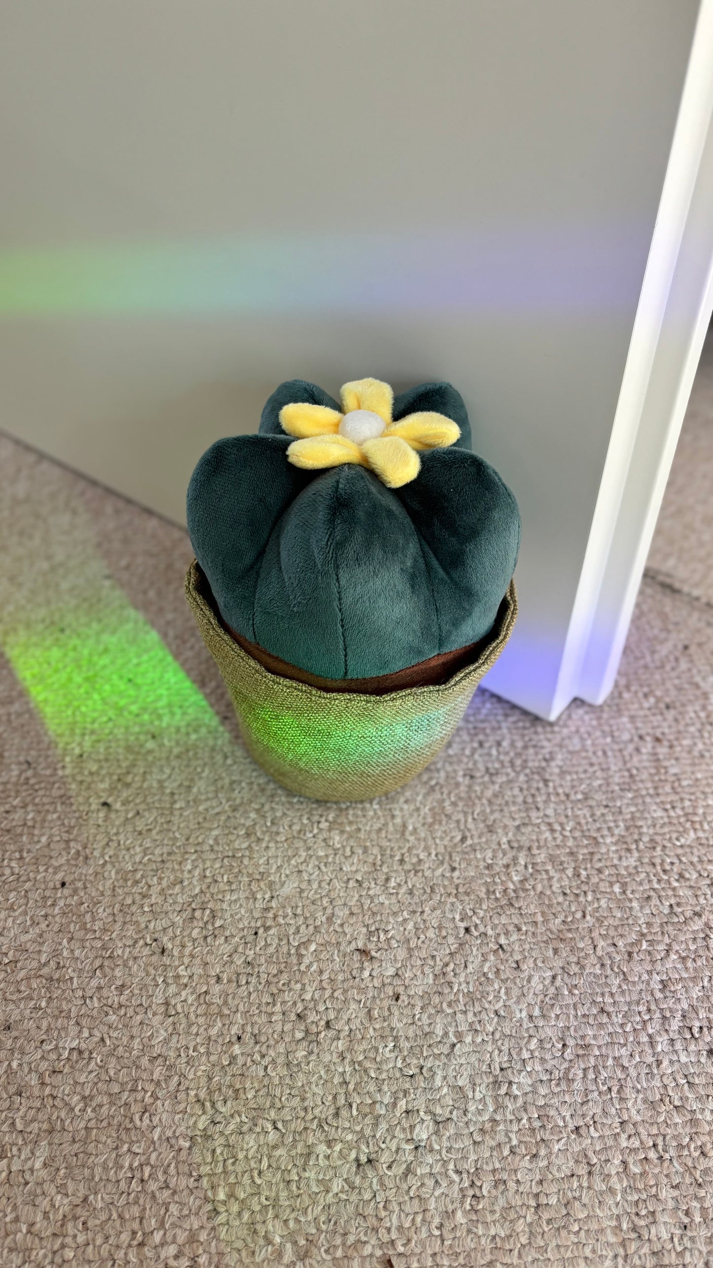 KARL KAKTUS | Pflanzen Türstopper