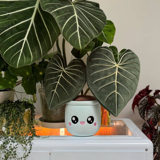 PHILODENDRON GLORIOSUM | Pflanzenstofftier