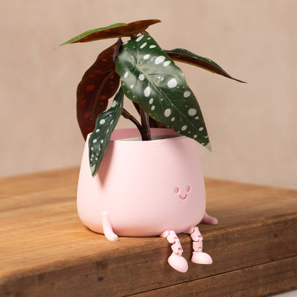 HAPPY POT PEACH PINK | Flowerpot with feet from the 3D printer