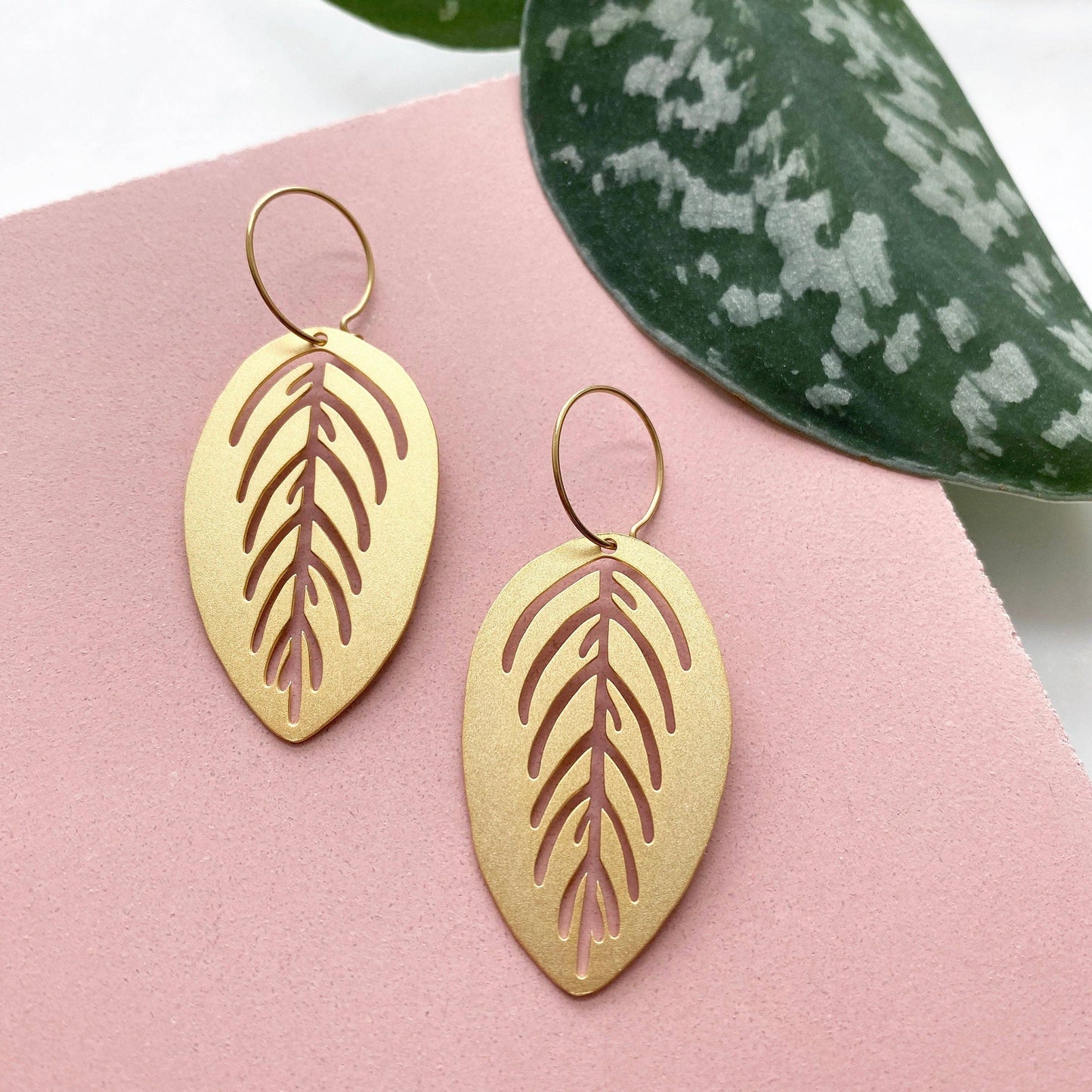 MARANTA CREOLEN | GOLD