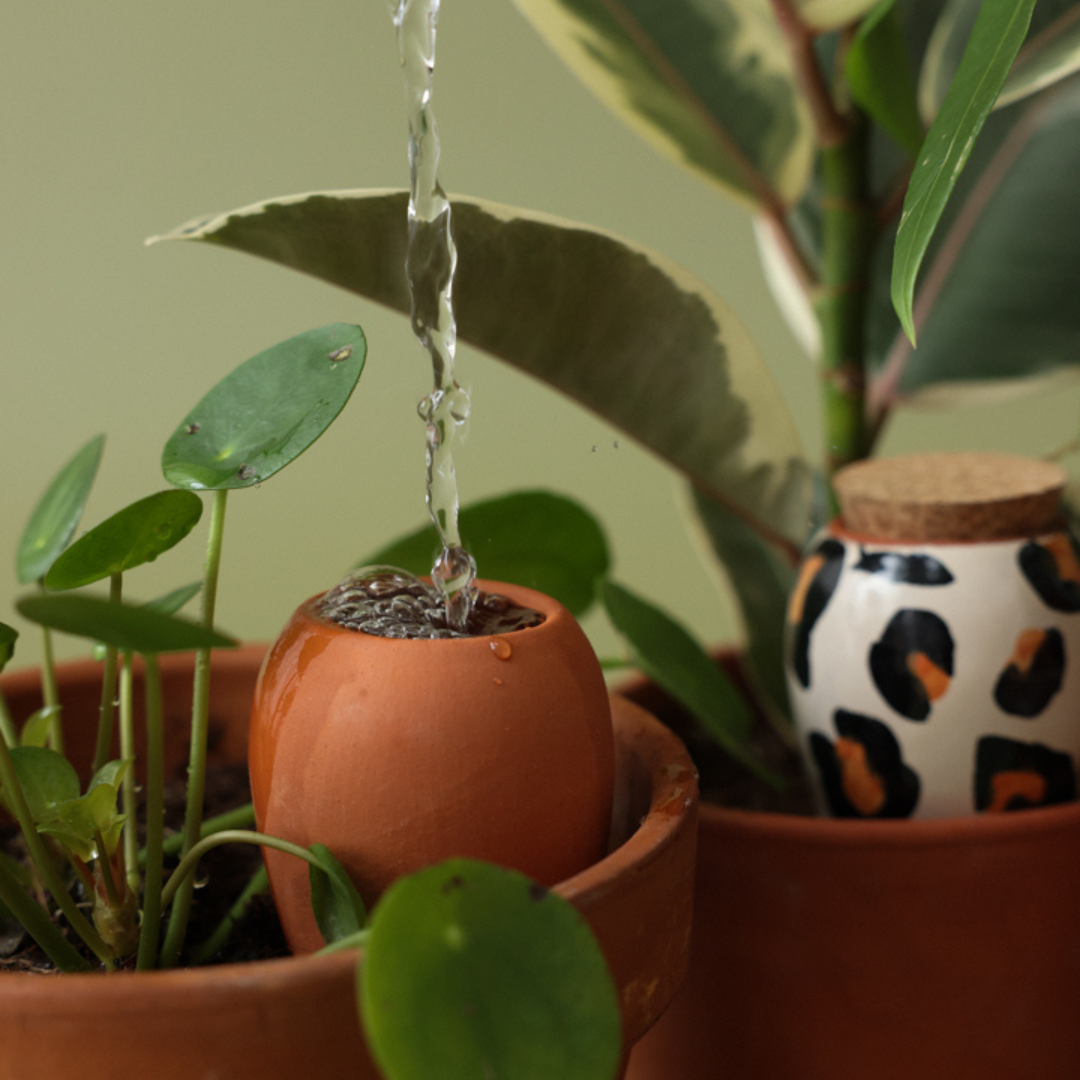 WILDCAT TRIO | 3er Set Mini Olla Wasserspender