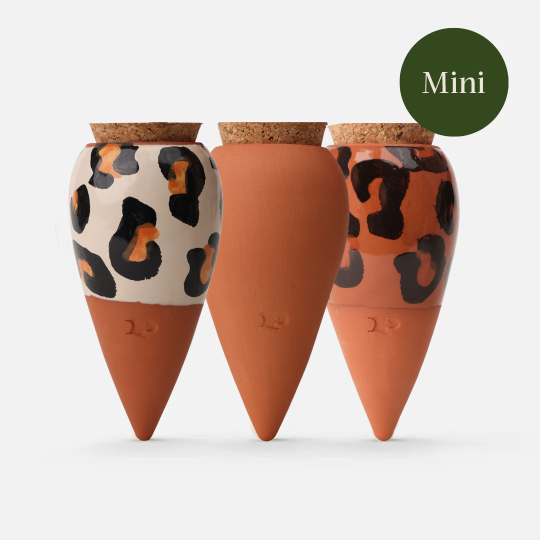 WILDCAT TRIO | 3er Set Mini Olla Wasserspender