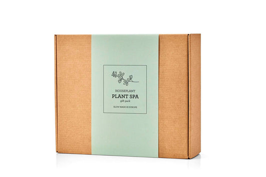 KIT D'ENTRETIEN DES PLANTES | FLACON PULVÉRISATEUR ET ENGRAIS FOLIAIRE