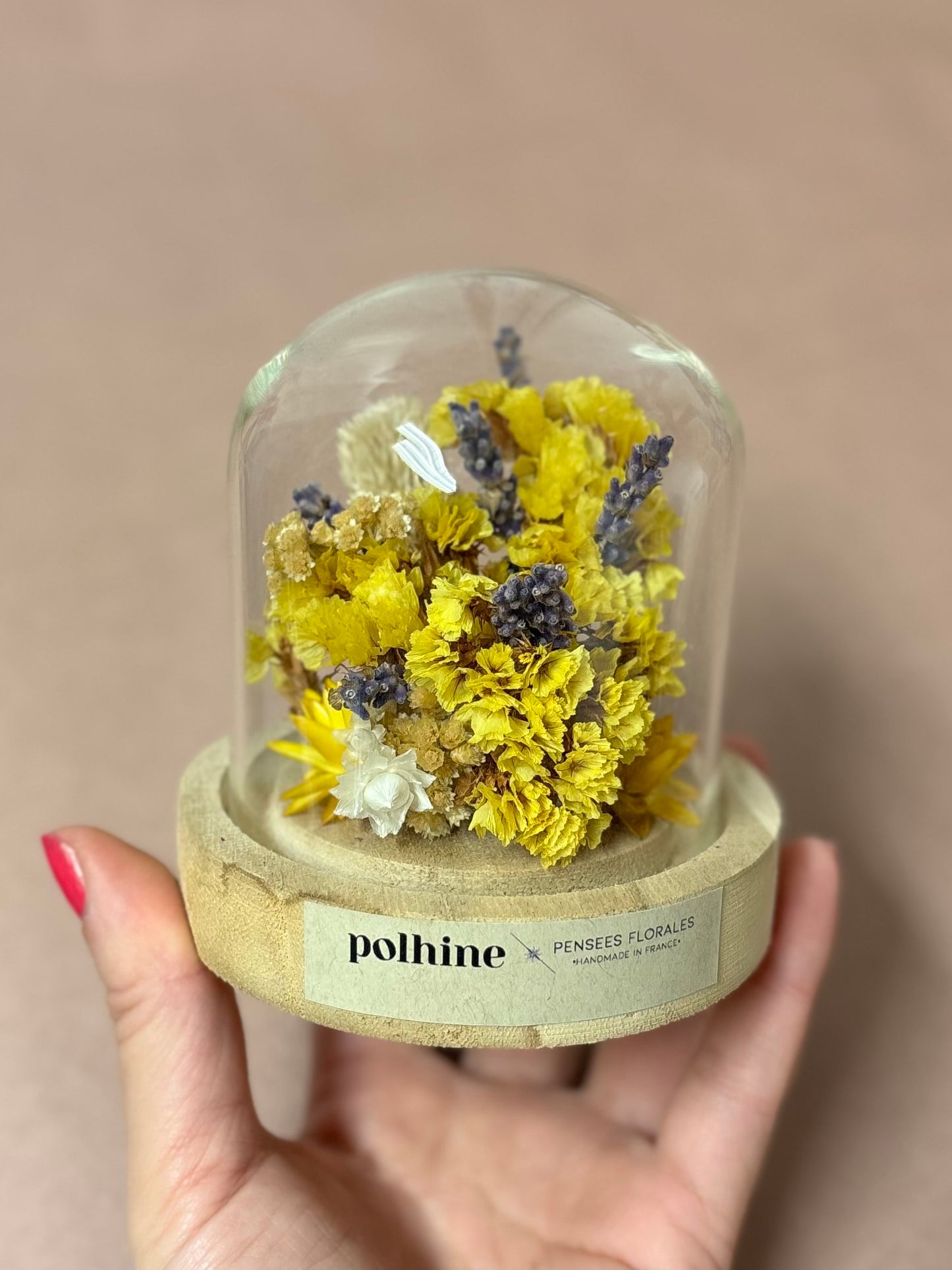 TROCKENBLUMEN KUPPEL | Yellow & blue