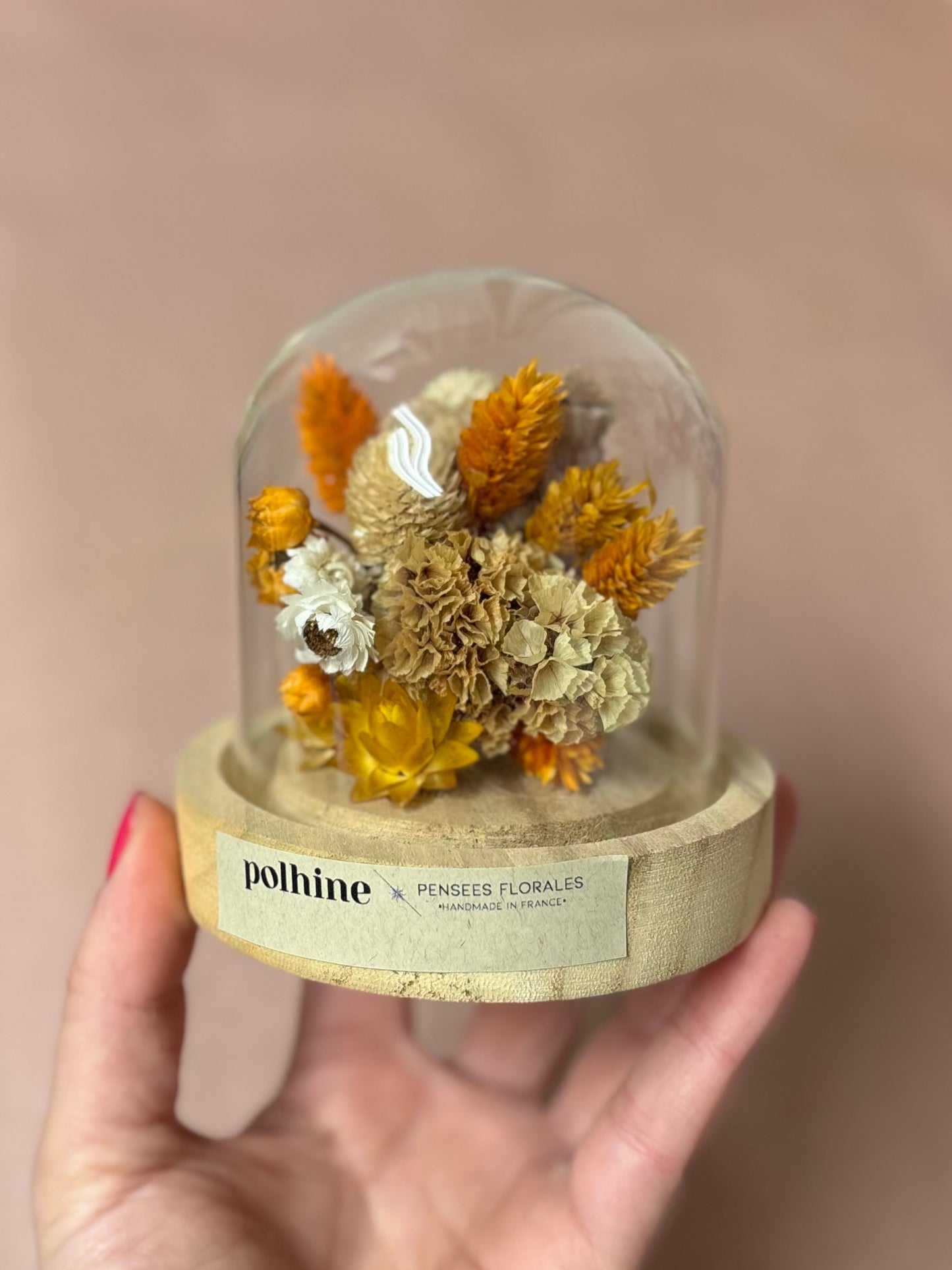 TROCKENBLUMEN KUPPEL | Orange & beige