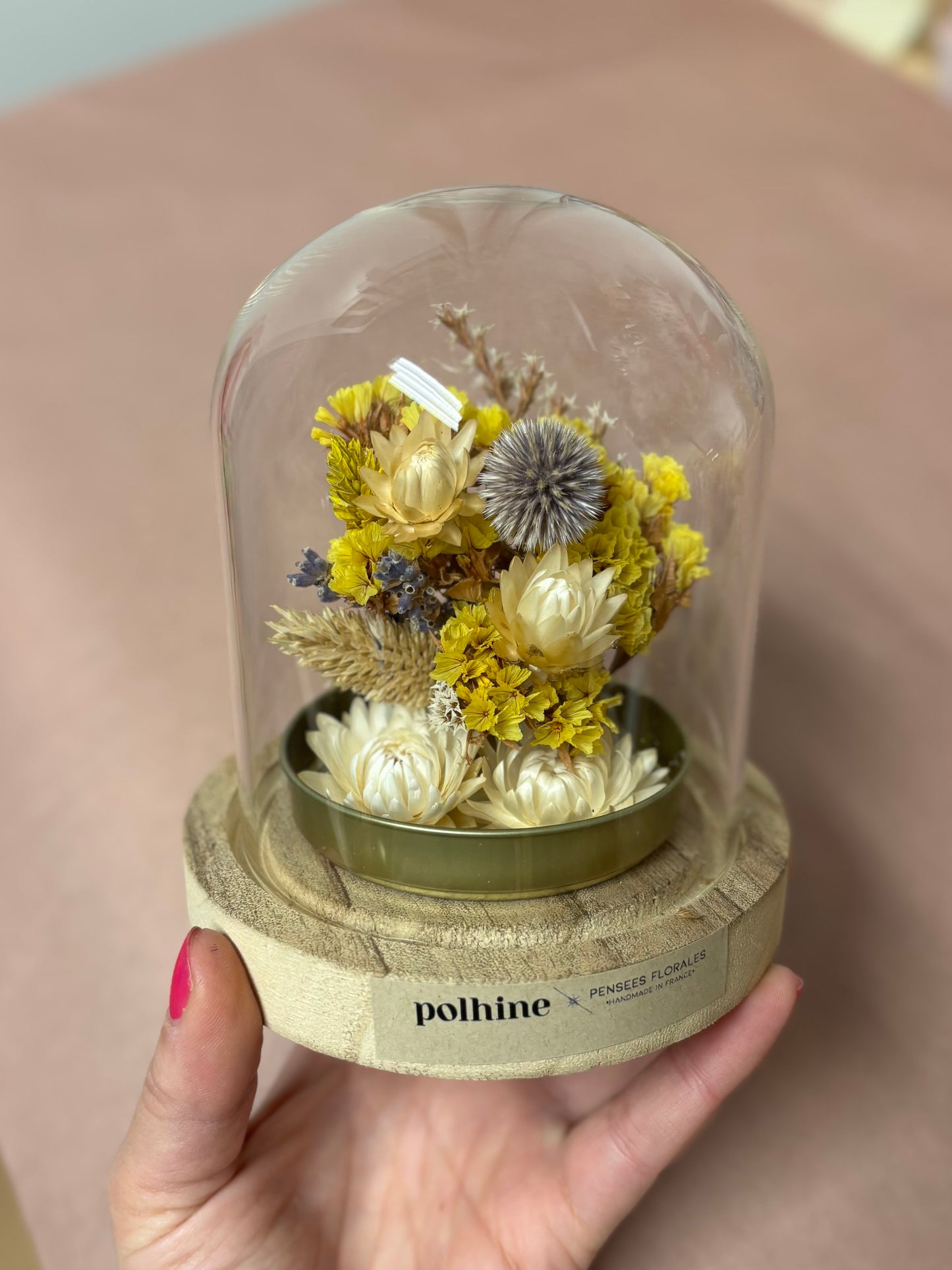 TROCKENBLUMEN MEDIUM KUPPEL | Gold Edition: Yellow & blue