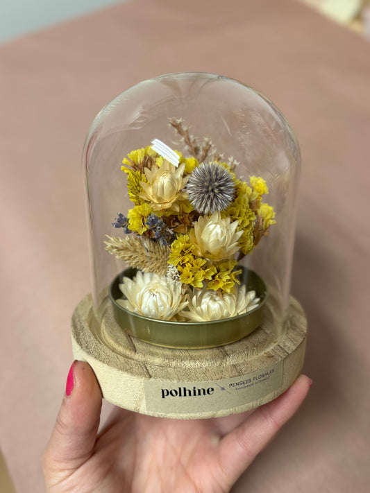 TROCKENBLUMEN MEDIUM KUPPEL | Gold Edition: Yellow & blue