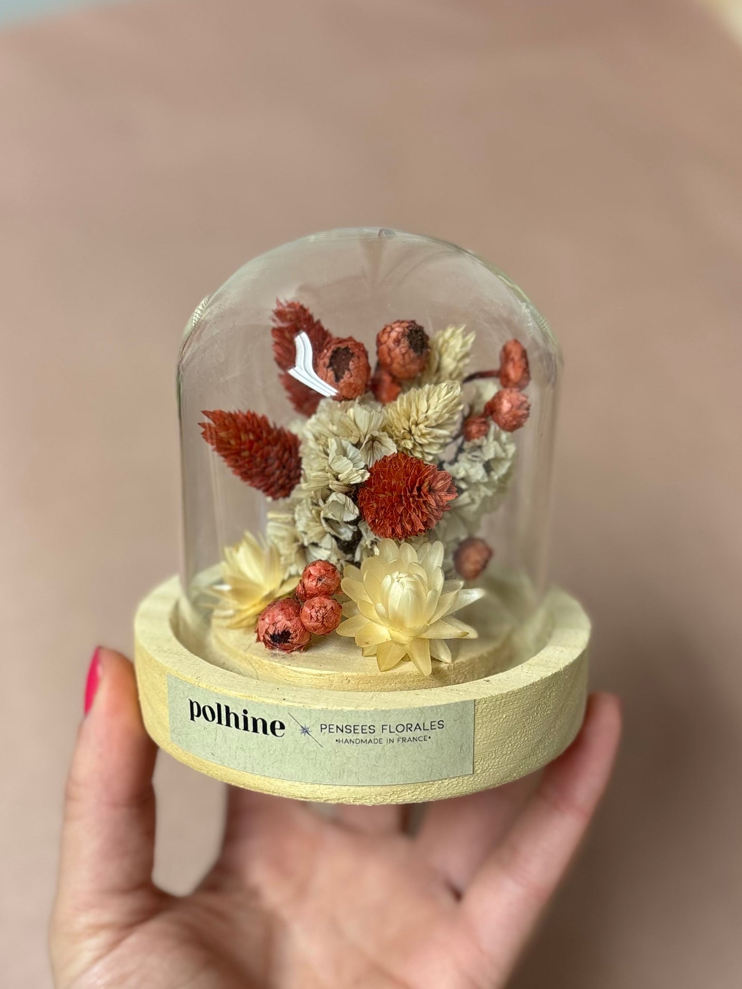 TROCKENBLUMEN KUPPEL | Red & beige