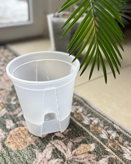 AROID SELBSTBEWÄSSERUNGSTÖPFE, DURCHSICHTIG | Für Alocasia, Orchideen & Co