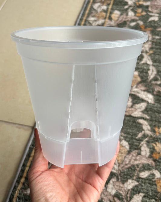 AROID SELF-WATERING POTS, TRANSPARENT | For Alocasia, Orchids &amp; Co.