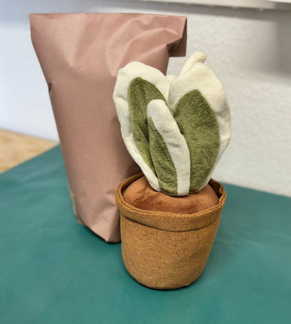 BORIS BOW HEMP | Butée de porte végétale