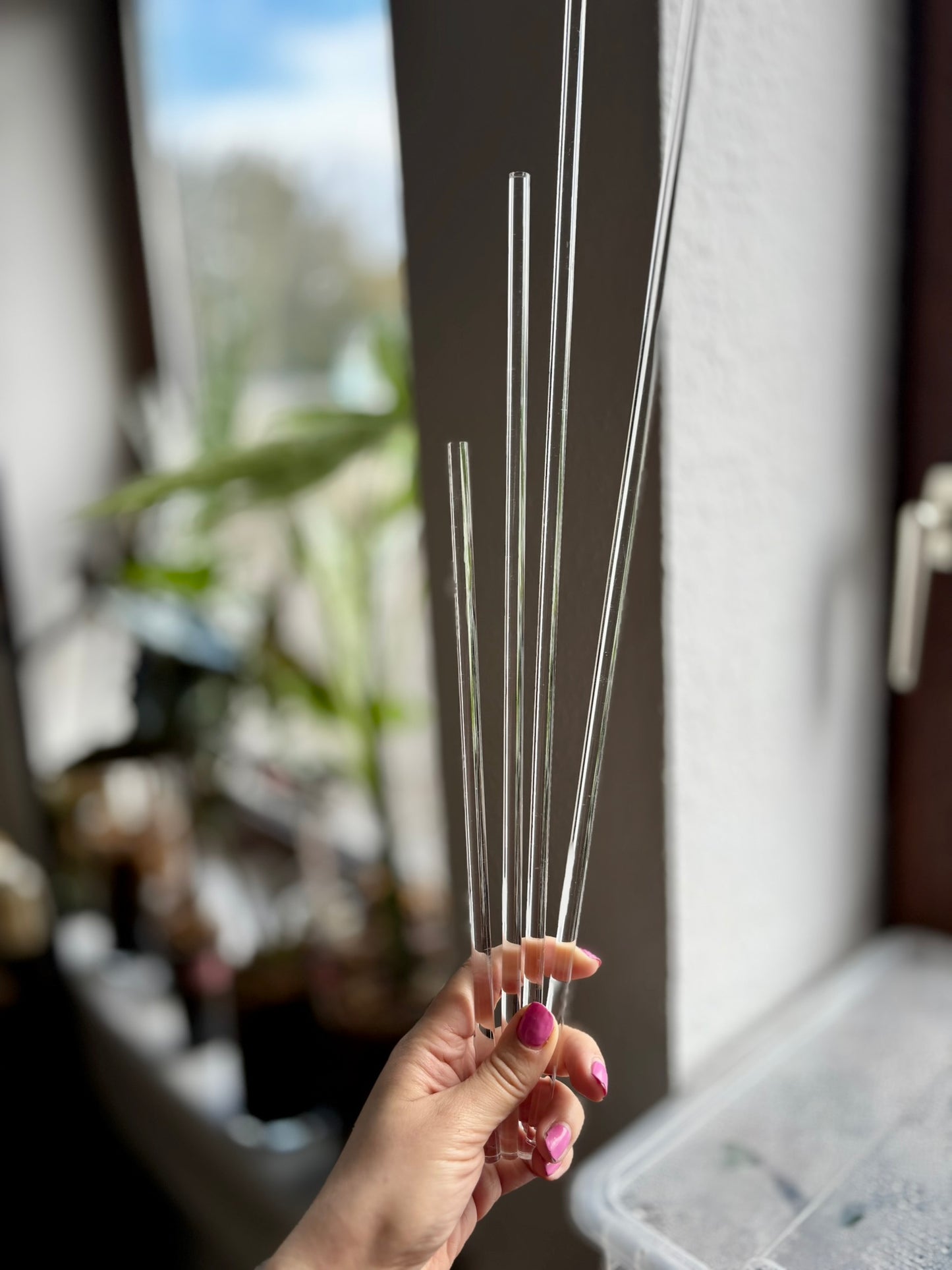 DURCHSICHTIGER RANKSTAB | Pflanzenstab für Kletterpflanzen aus klarem Acryl