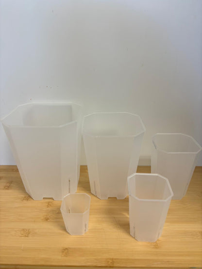 ECKIGE AROID TÖPFE, DURCHSICHTIG | FÜR Alocasia, Philodendron & Co