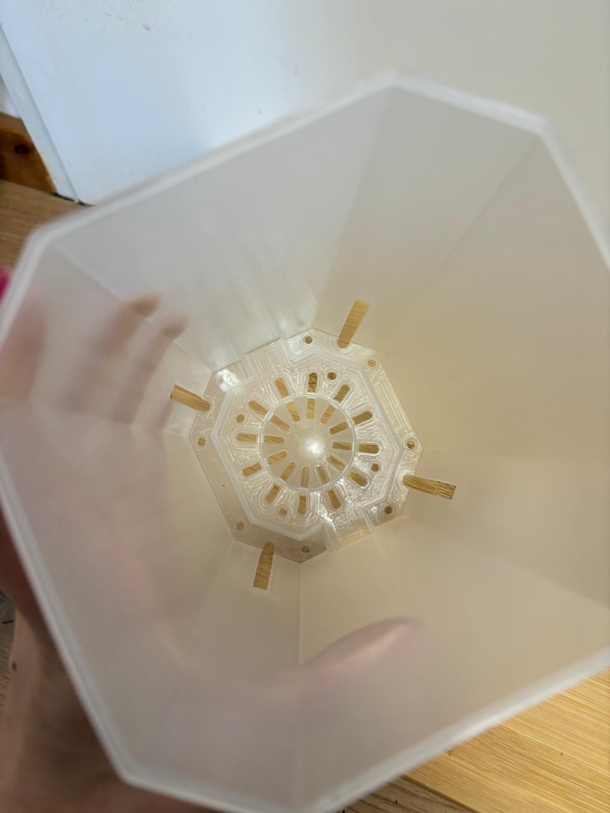 ECKIGE AROID TÖPFE, DURCHSICHTIG | FÜR Alocasia, Philodendron & Co