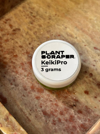 KEIKI PASTE | HORMONPASTE FÜR AROIDS & ORCHIDEEN