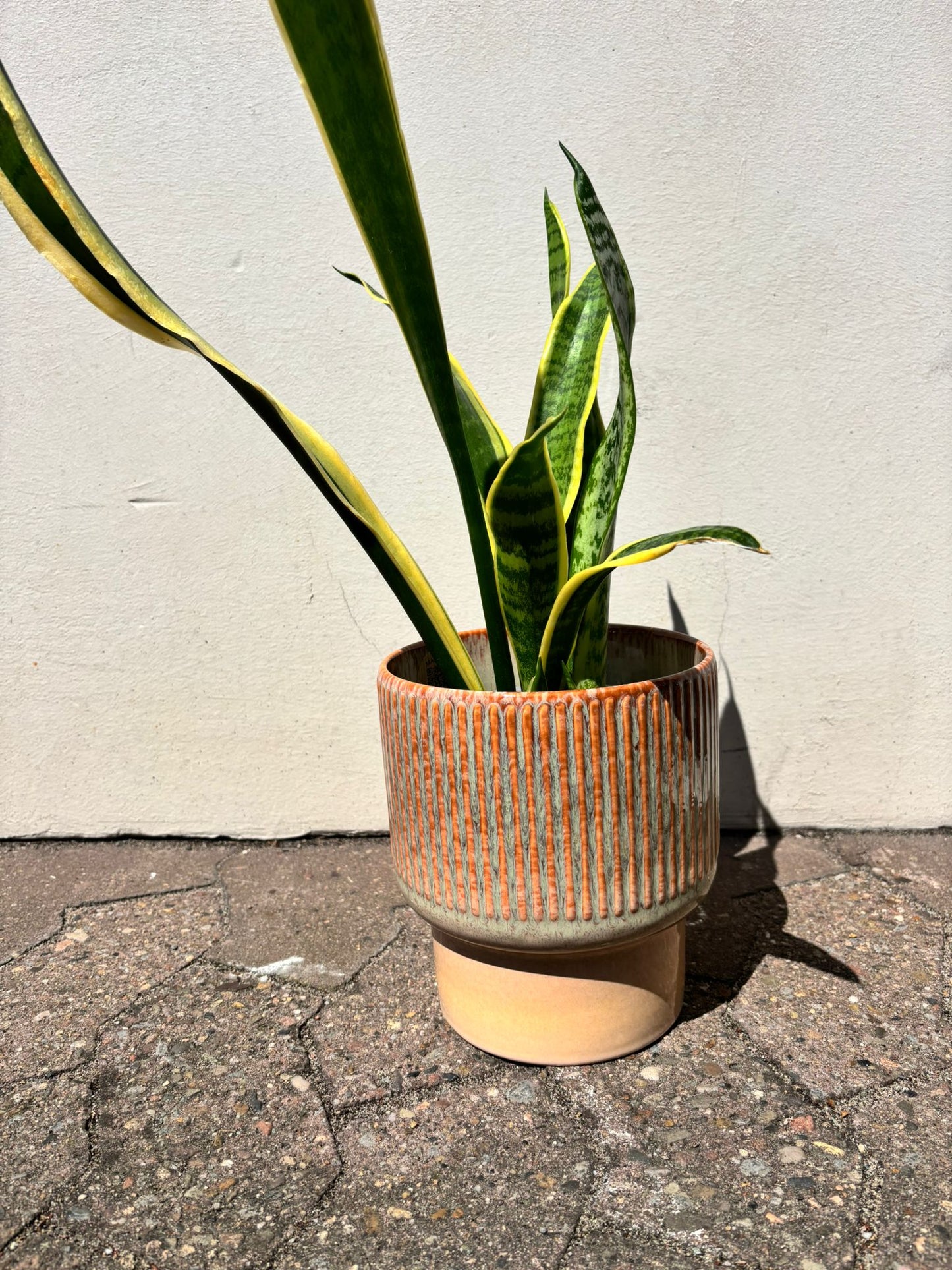 SIENNA | Flowerpot