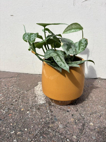 NORA | Flowerpot