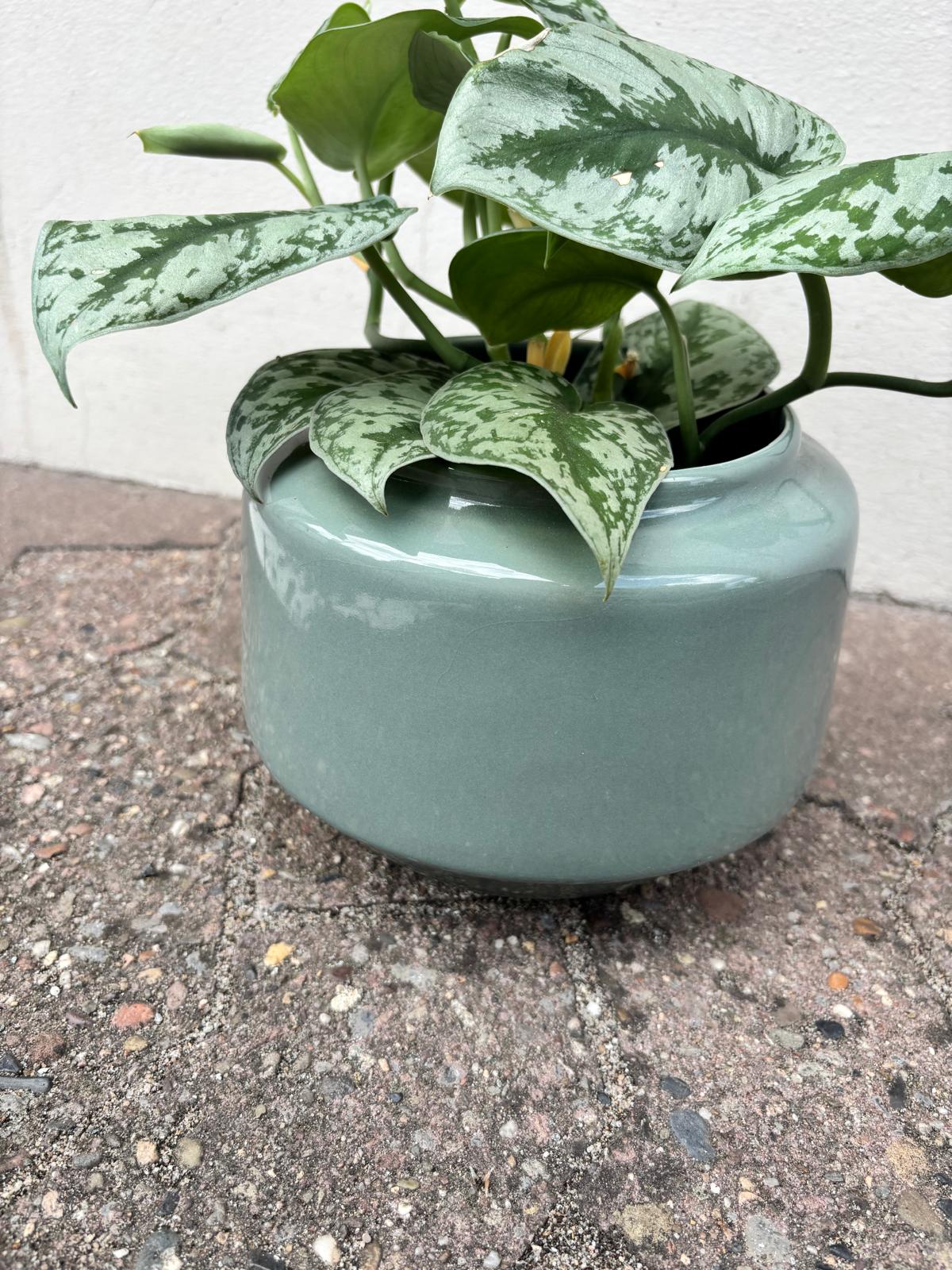 NOA | Flowerpot