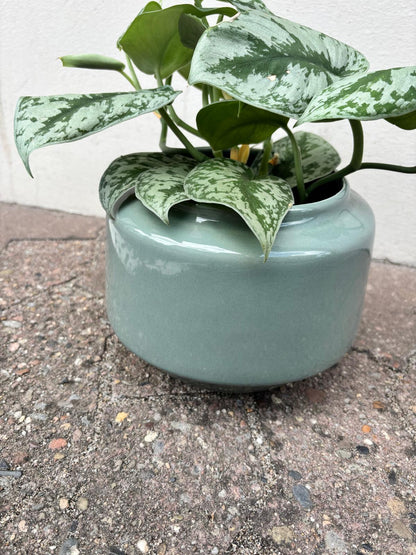 NOA | Flowerpot