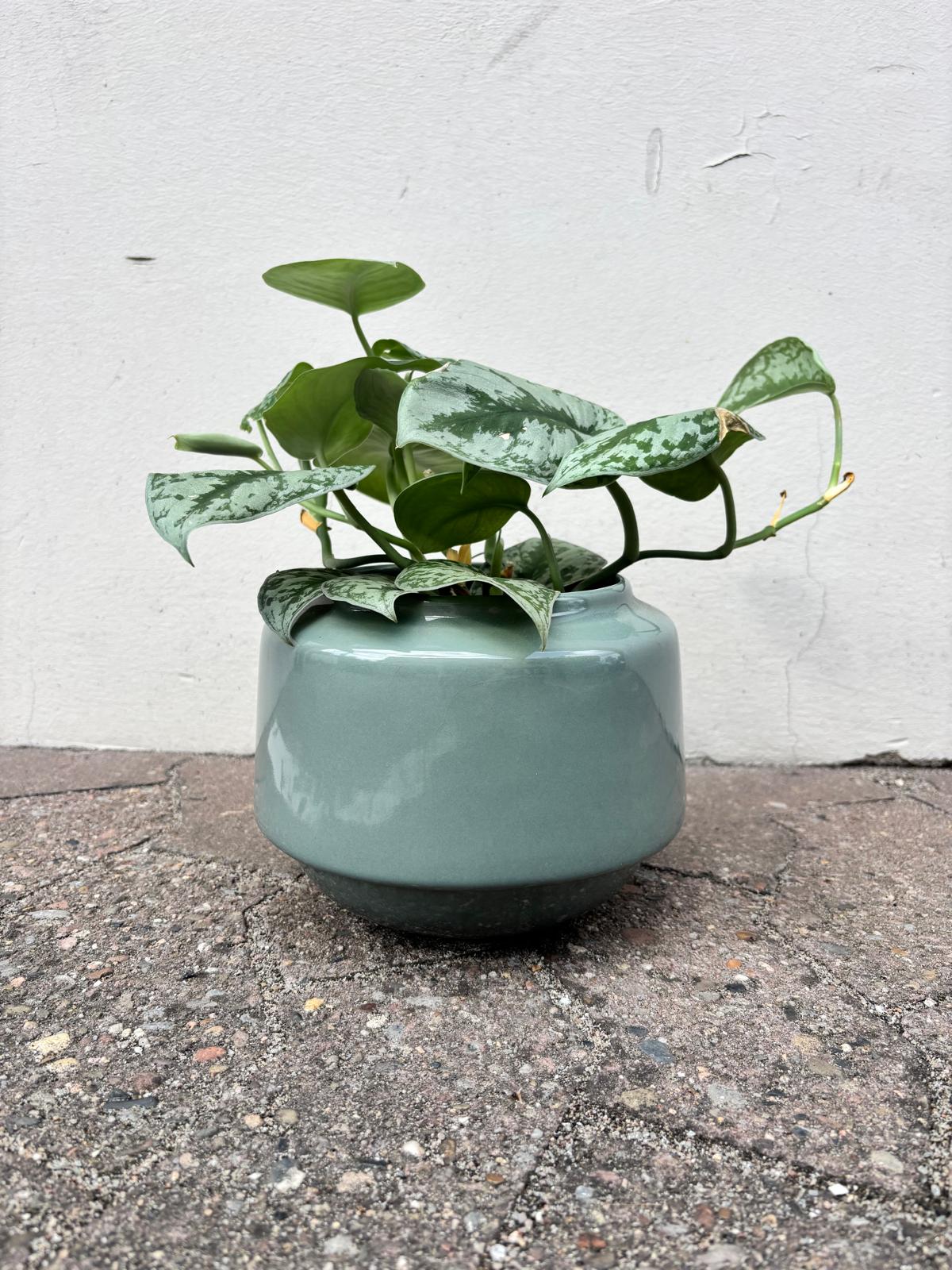 NOA | Flowerpot