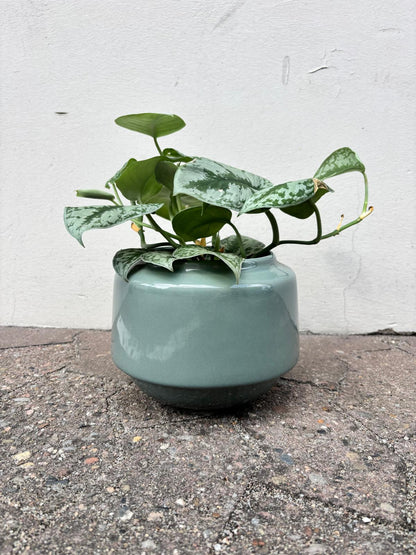 NOA | Flowerpot