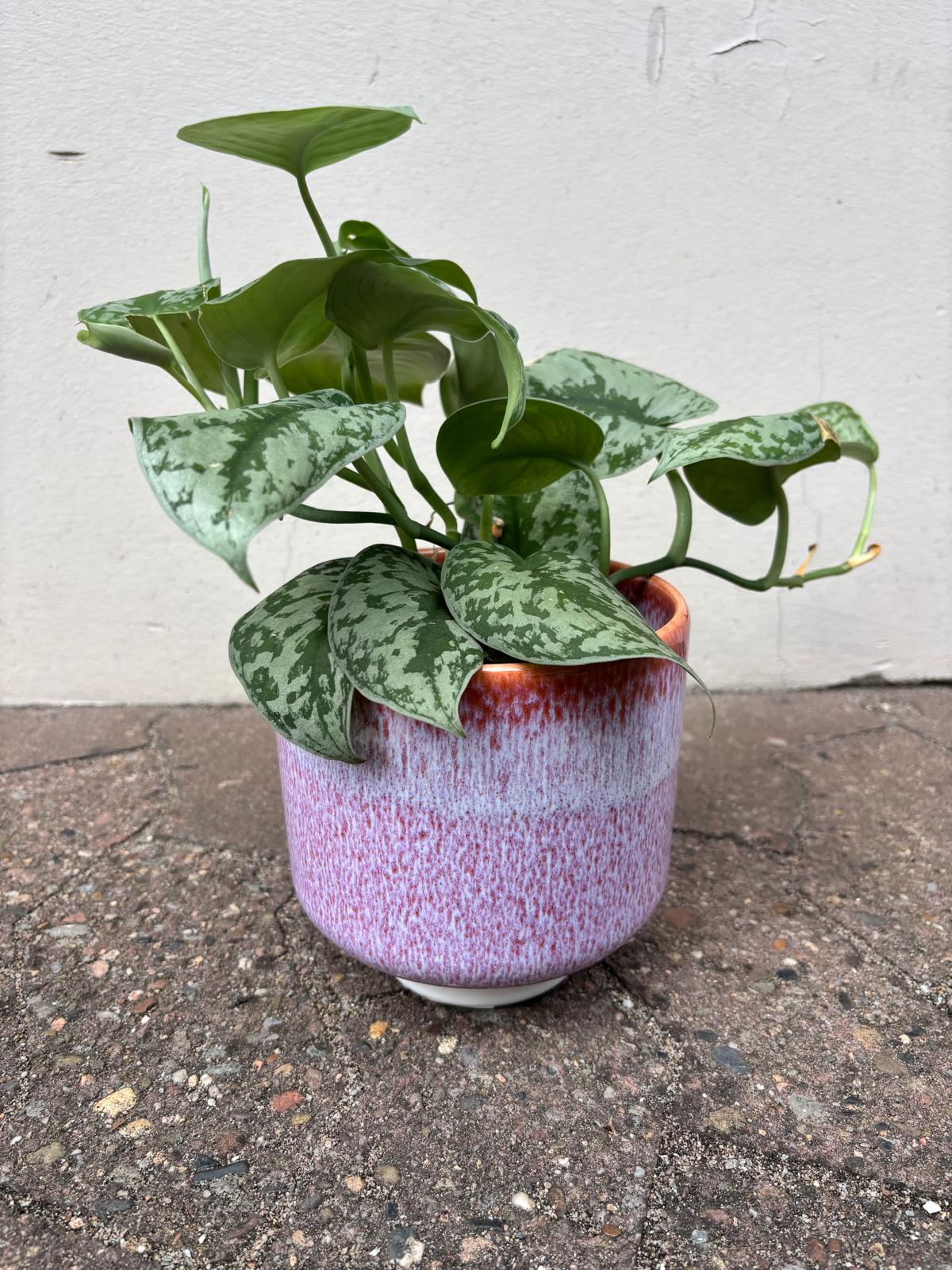 TILA | Flowerpot