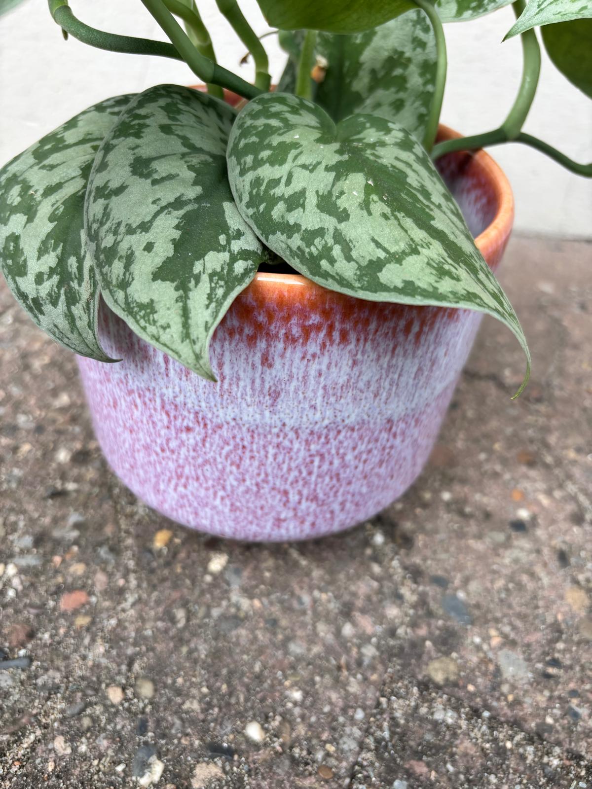 TILA | Flowerpot
