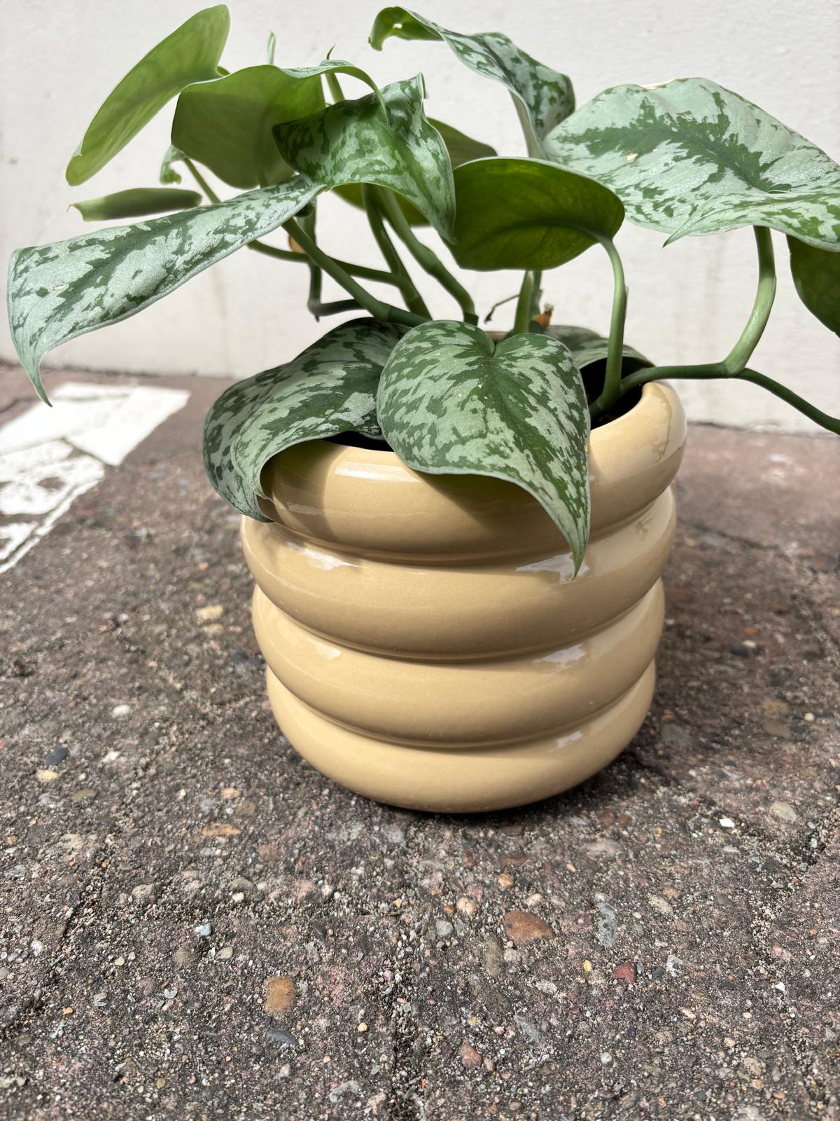 RUNA | Flowerpot