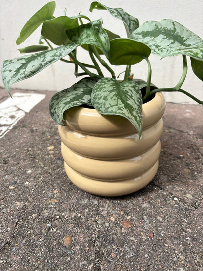 RUNA | Flowerpot