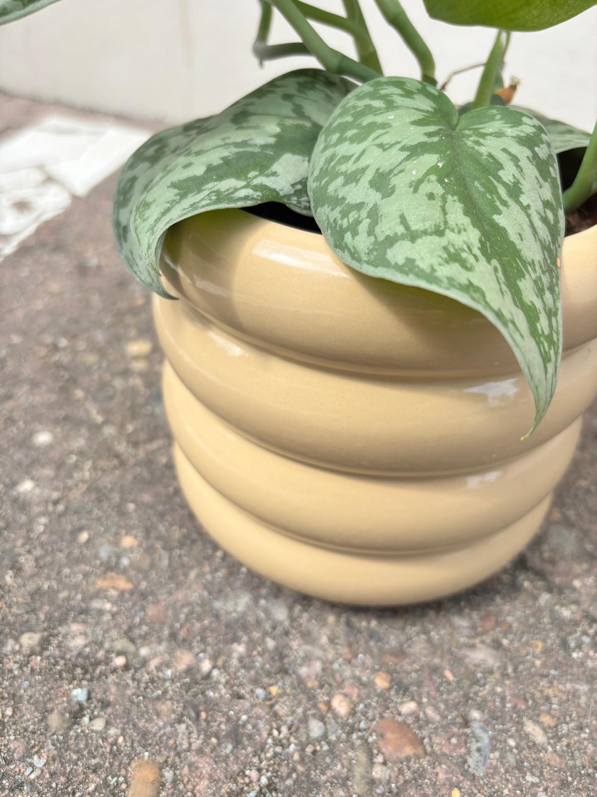 RUNA | Flowerpot
