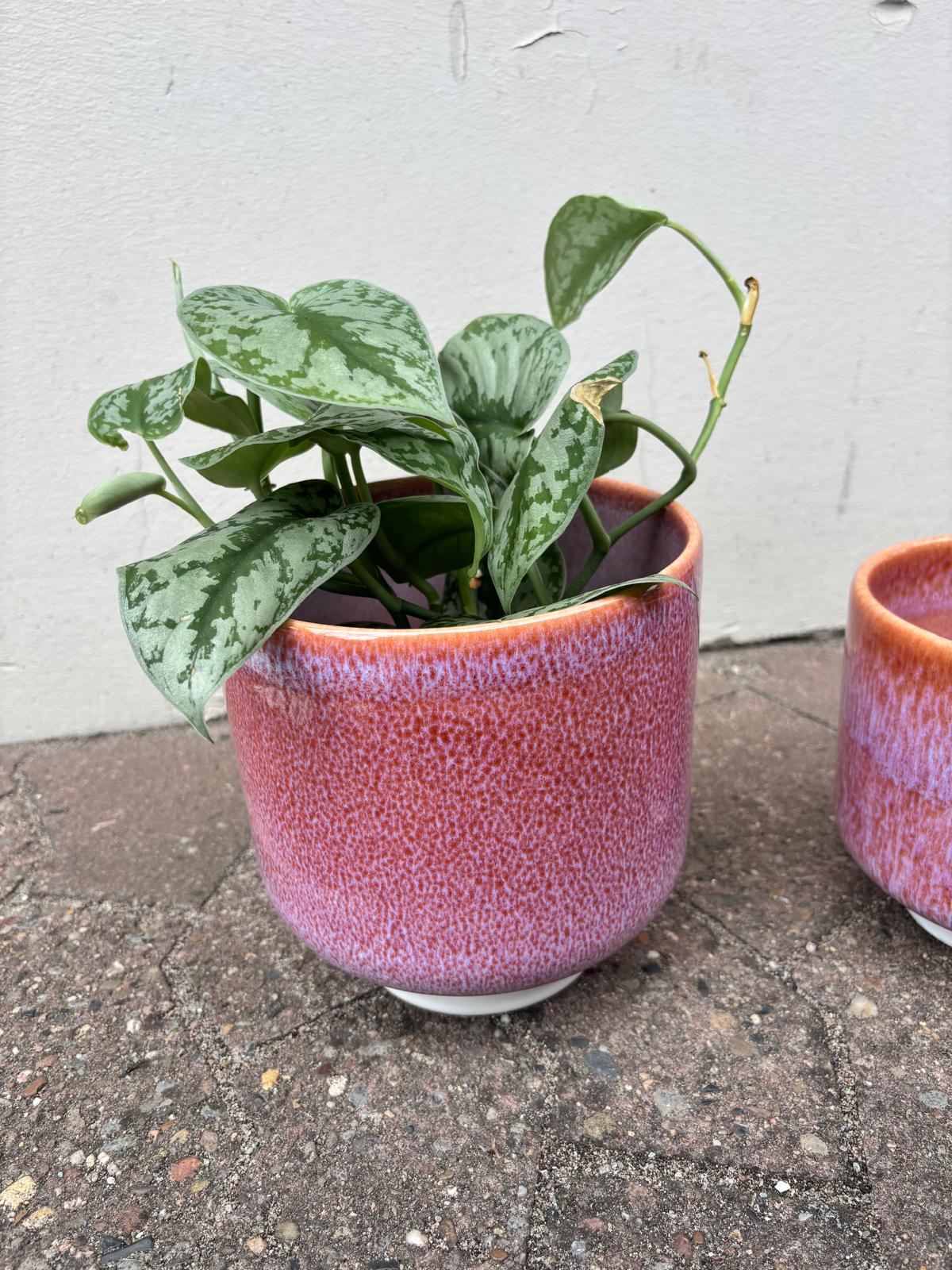 VIVA | Flowerpot