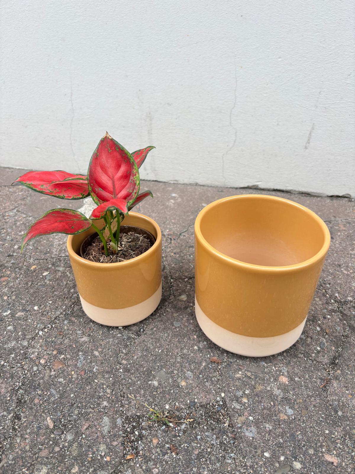 TAMO | Flowerpot