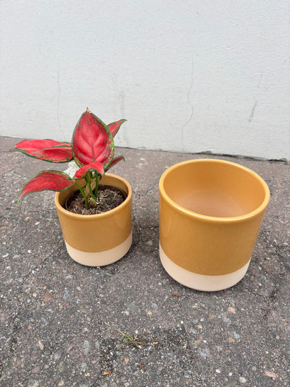 TAMO | Flowerpot