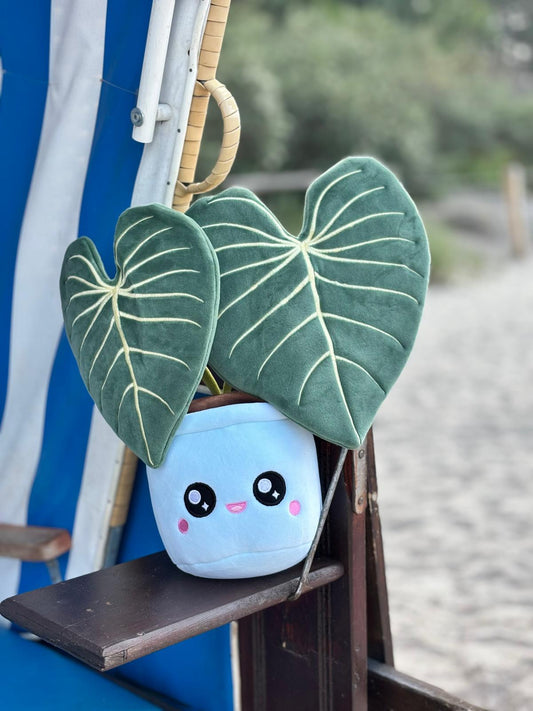 PHILODENDRON GLORIOSUM | Pflanzenstofftier