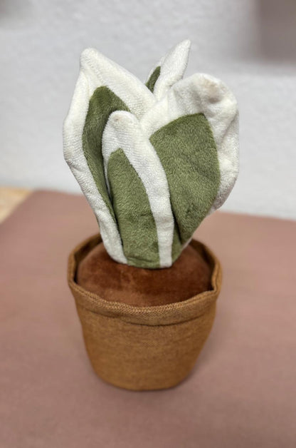 BORIS BOW HEMP | Butée de porte végétale