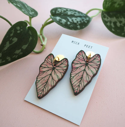 CALADIUM OHRRINGE | GOLD