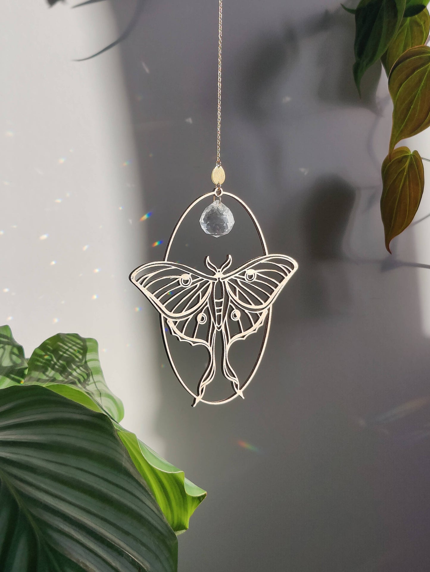 LUNA MOTH | Handmade suncatcher with glass crystal &amp; wood design