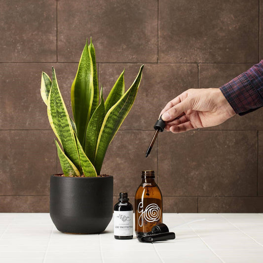 HUILE DE NEEM | INSECTICIDE NATUREL À LA LAVANDE 50 ml