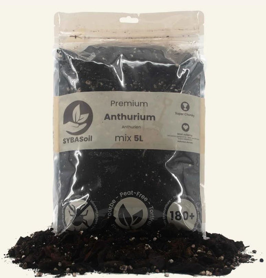 ANTHURIUM MIX 5L | Substrat für Anthurien