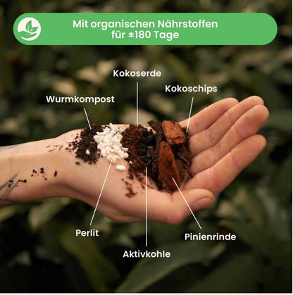 ANTHURIUM MIX 5L | Substrat für Anthurien