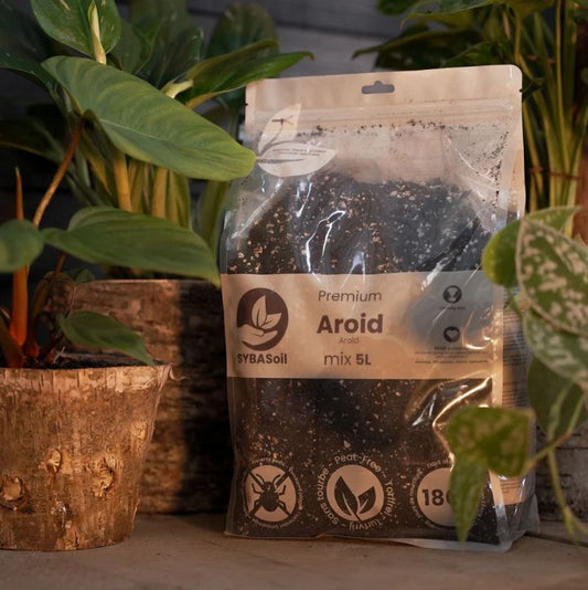 AROID MIX | Substrat für Monstera, Philodendron & mehr