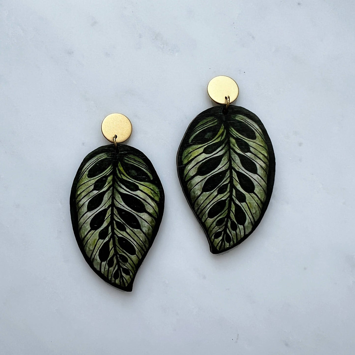 CALATHEA MAKOYANA OHRRINGE GREEN | GOLD
