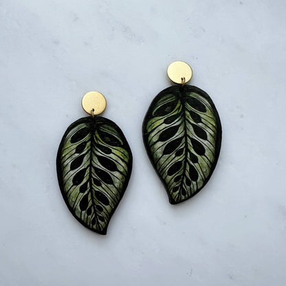 CALATHEA MAKOYANA OHRRINGE GREEN | GOLD