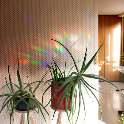 8 MINI WILDBLUMEN STICKER | Suncatcher Sticker für Regenbögen