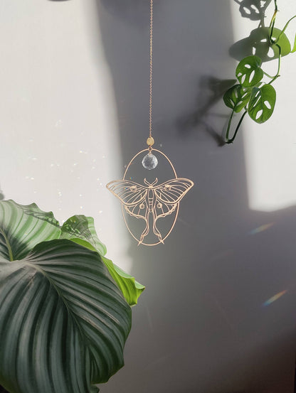 LUNA MOTH | Handmade suncatcher with glass crystal &amp; wood design